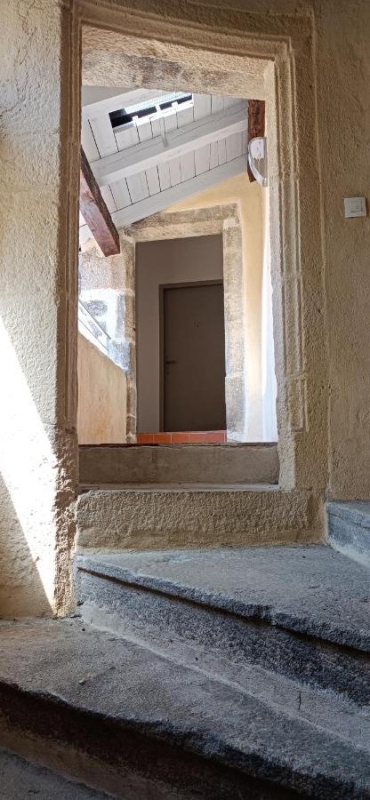 Le Puy-en-VelayLe Raphael Centre Historiqueアパートメント エクステリア 写真